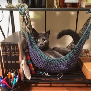 Amaca gatito (copia)