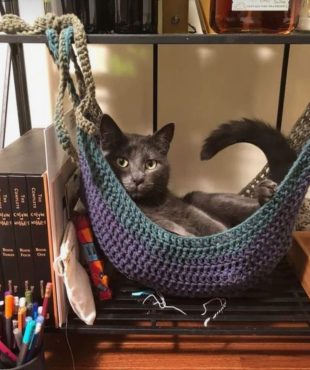Amaca gatito (copia)